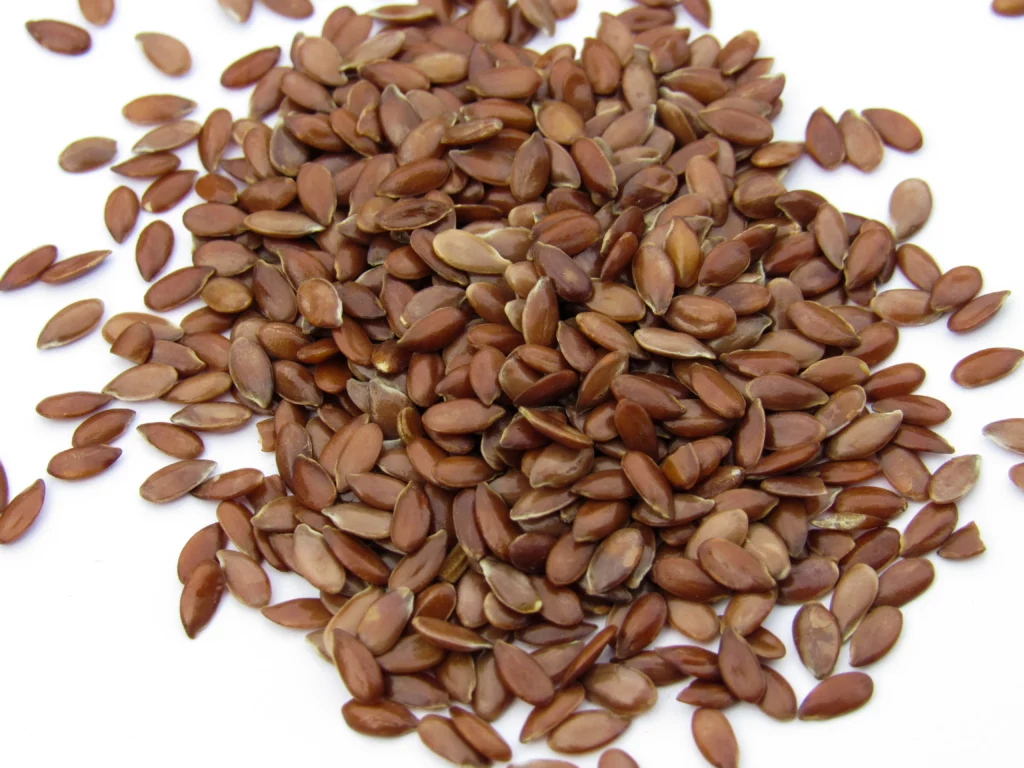 A Handful of Flaxseeds, ready for sprinkling on to the dish of your Joice.