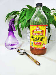 Bottle Apple Cider vinegar